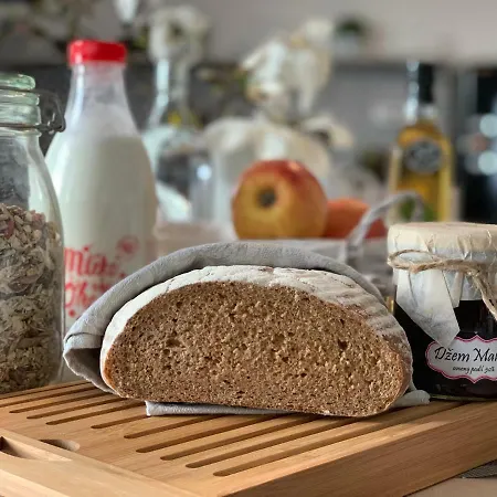 Holin U Prachovskych Skal