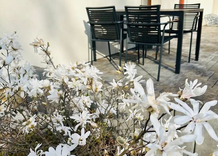 Holin U Prachovskych Skal Aparthotel 4*
